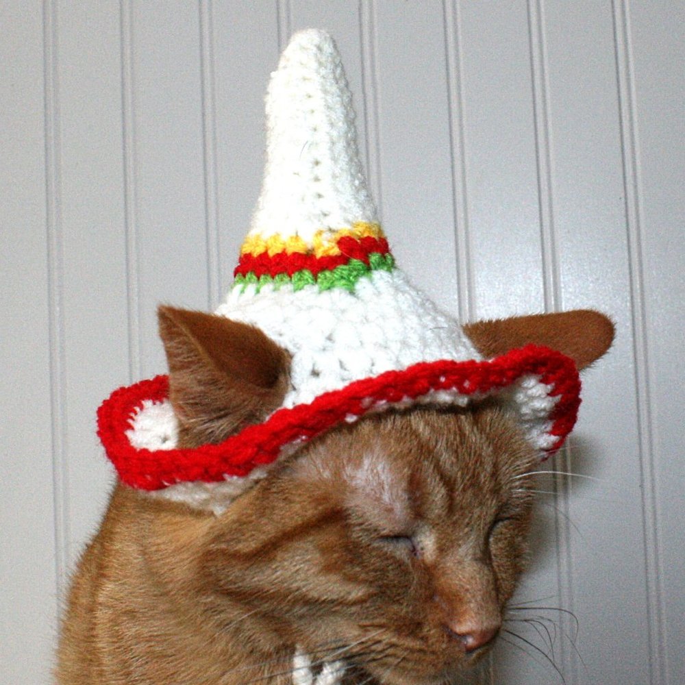HAND CRAFTED Crochet Sombrero Cinco De Mayo Cat Hat Costume Photo Prop - Picture 5 of 15